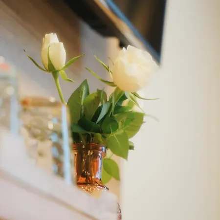 Outlet Hotel Metzingen (Tubingen)