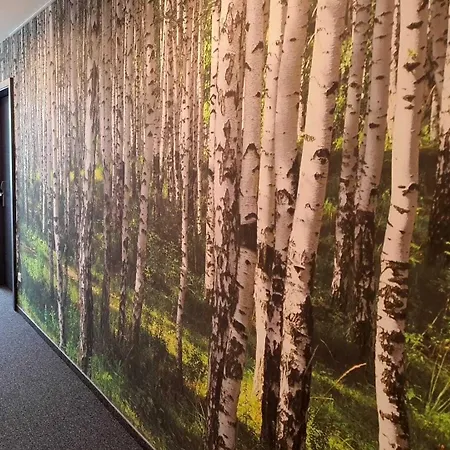 Hotel Outlet 4*